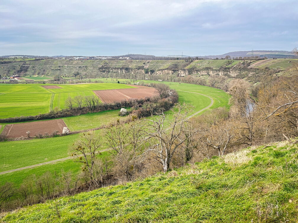 23-03-17 14-30-15 4921